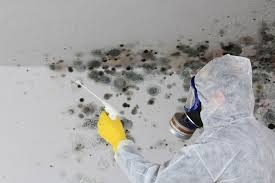 Best Air Quality Testing for Mold Spores  in Kirby, TX